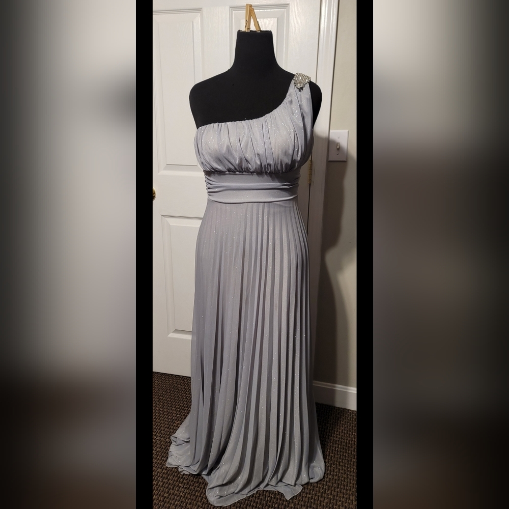 Silver gown